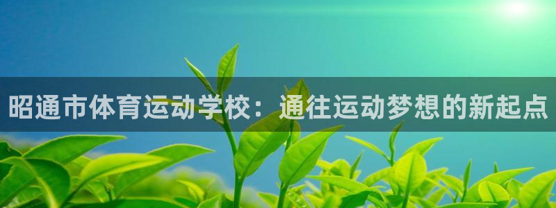 vsport体育：昭通市体育运动学校：通往运动梦想的新起点