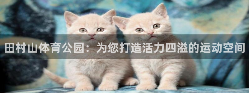 vsport体育在线官网：田村山体育公园：为您打造活力四溢的运动空间