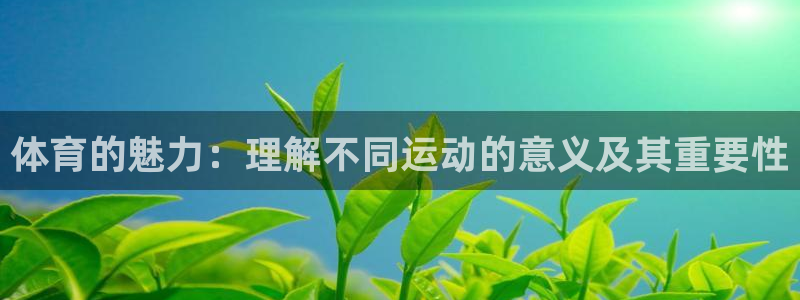 vsport体育：体育的魅力：理解不同运动的意义及其重要性