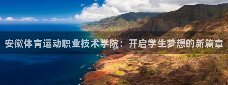 vsport体育在线官网