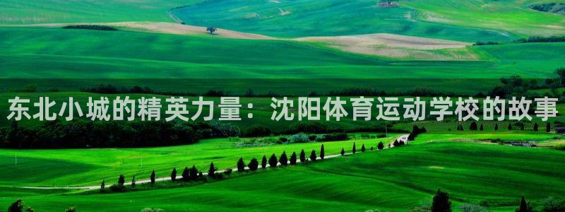 vsport体育在线官网：东北小城的精英力量：沈阳体育运动学校的故事