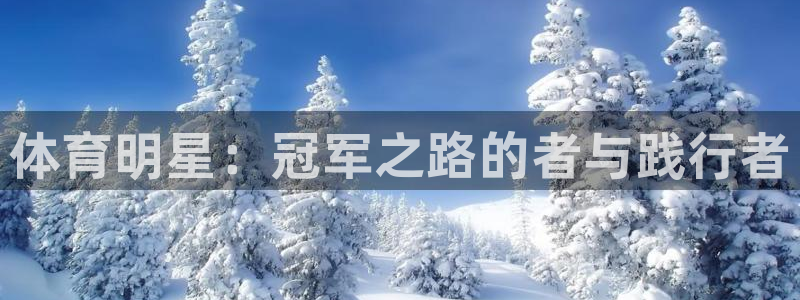 vsport体育在线官网：体育明星：冠军之路的者与践行者