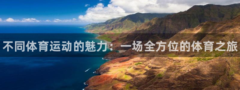 vsport体育在线官网：不同体育运动的魅力：一场全方位的体育之旅