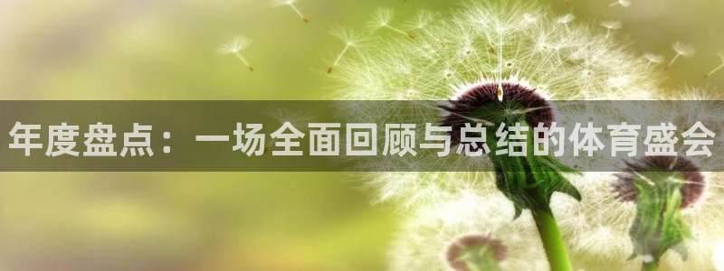 vsport体育在线官网：年度盘点：一场全面回顾与总结的体育盛会
