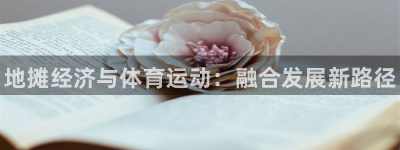 vsport体育在线官网：地摊经济与体育运动：融合发展新路径