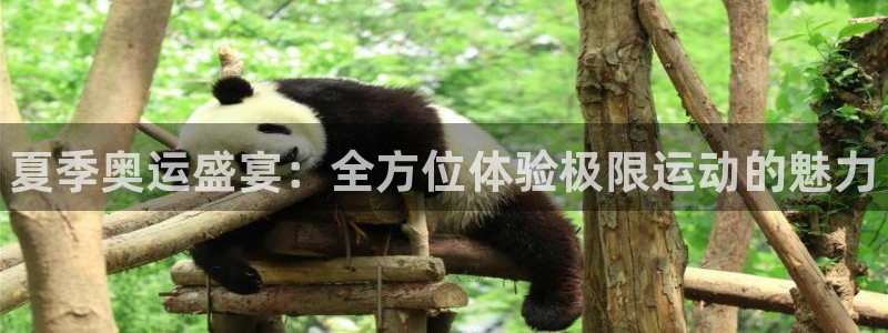 vsport体育：夏季奥运盛宴：全方位体验极限运动的魅力