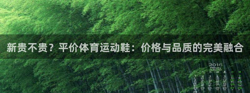 vsport体育：新贵不贵？平价体育运动鞋：价格与品质的完美融合
