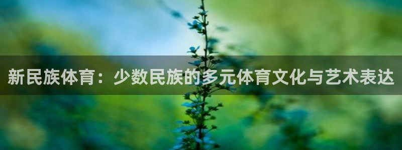 vsport体育在线官网：新民族体育：少数民族的多元体育文化与艺术表达