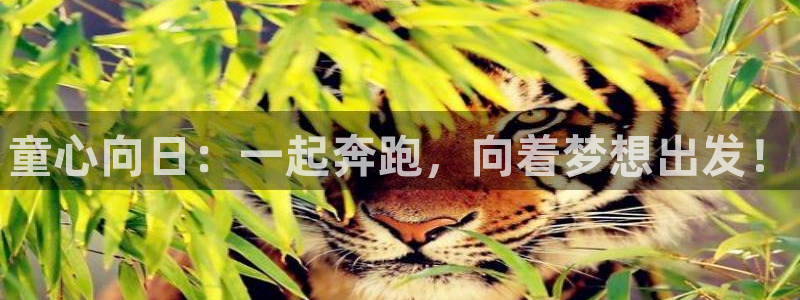 vsport体育在线官网：童心向日：一起奔跑，向着梦想出发！