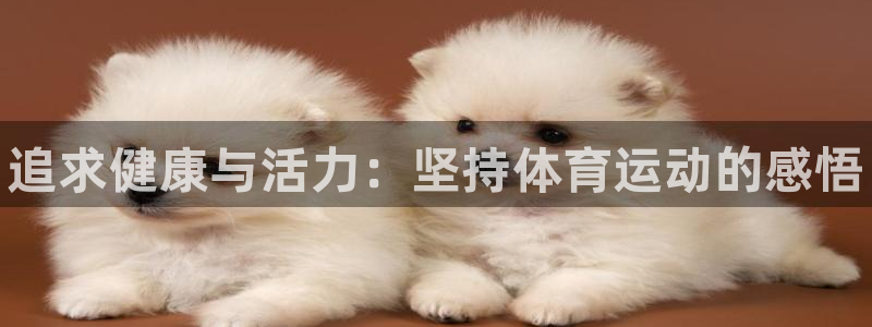 vsport体育在线官网：追求健康与活力：坚持体育运动的感悟