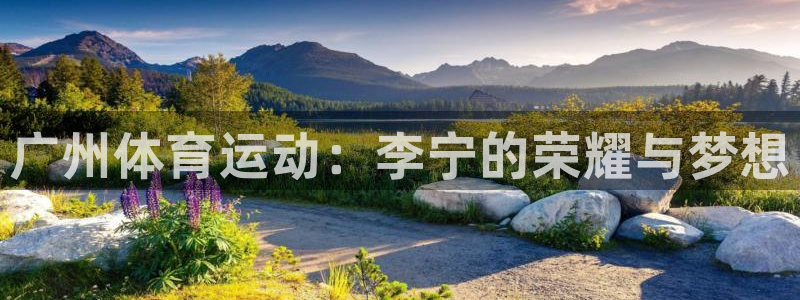 vsport体育：广州体育运动：李宁的荣耀与梦想