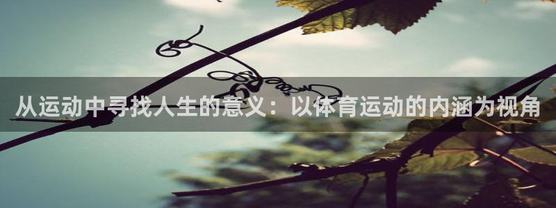 vsport体育在线官网：从运动中寻找人生的意义：以体育运动的内涵为视角