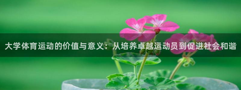 vsport体育：大学体育运动的价值与意义：从培养卓越运动员到促进社会和谐