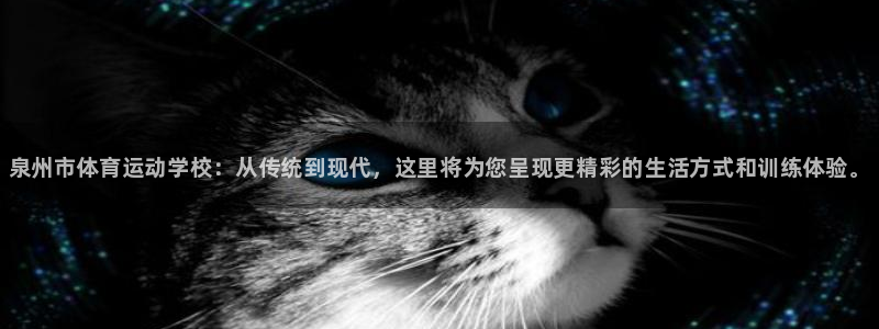 vsport体育：泉州市体育运动学校：从传统到现代，这里将为您呈现更精彩的生活方式和训练体验。