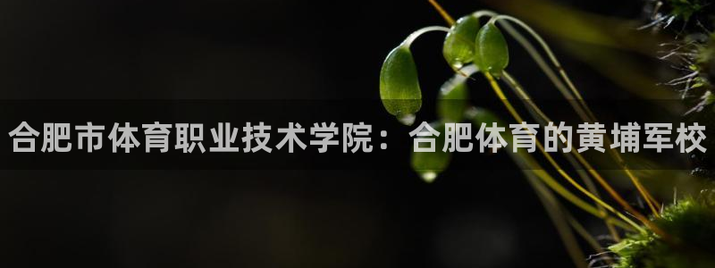vsport体育：合肥市体育职业技术学院：合肥体育的黄埔军校