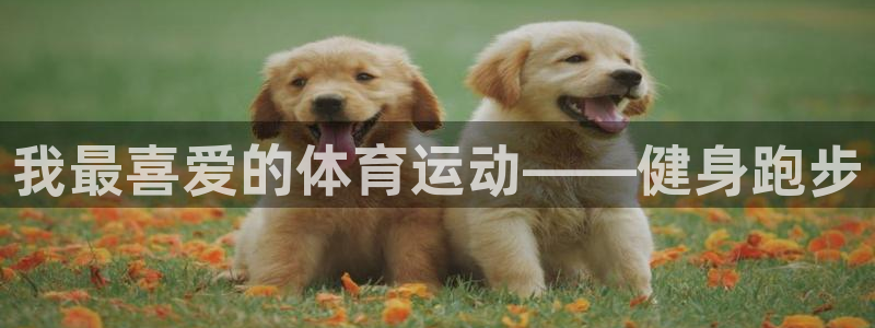 vsport体育：我最喜爱的体育运动——健身跑步
