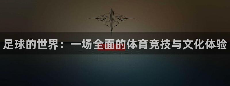 vsport体育：足球的世界：一场全面的体育竞技与文化体验