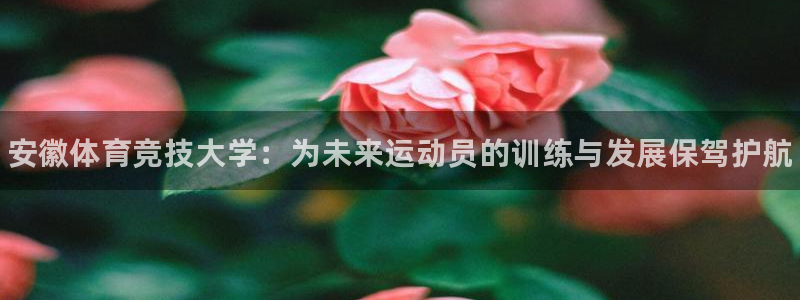 vsport体育：安徽体育竞技大学：为未来运动员的训练与发展保驾护航