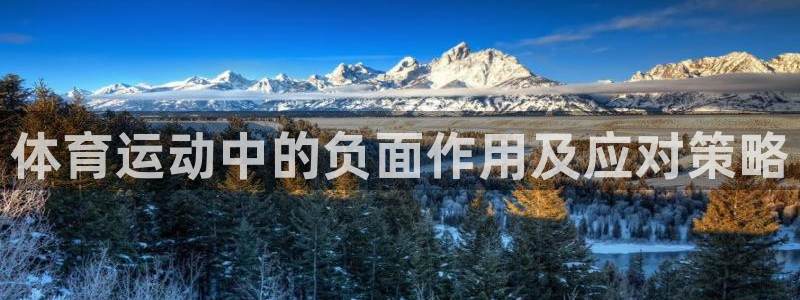 vsport体育：体育运动中的负面作用及应对策略